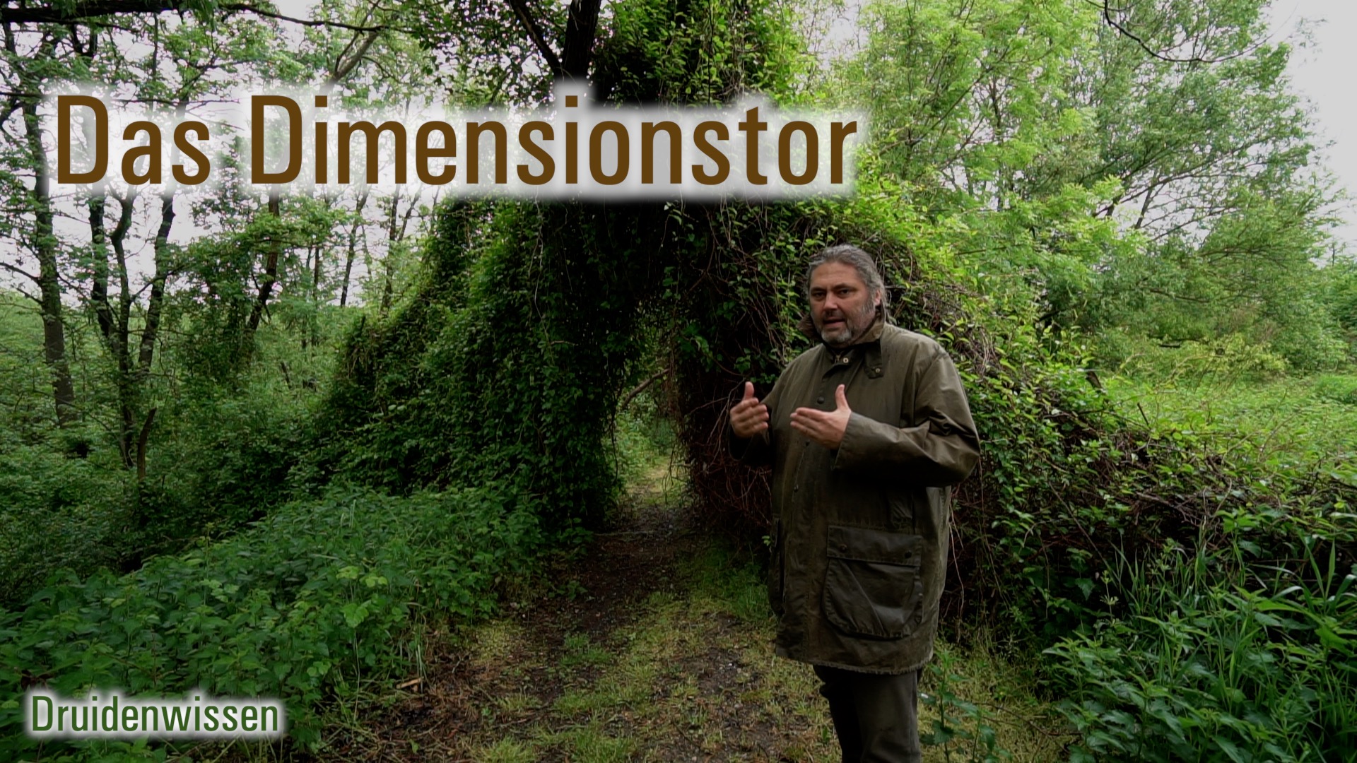 Das Dimensionstor