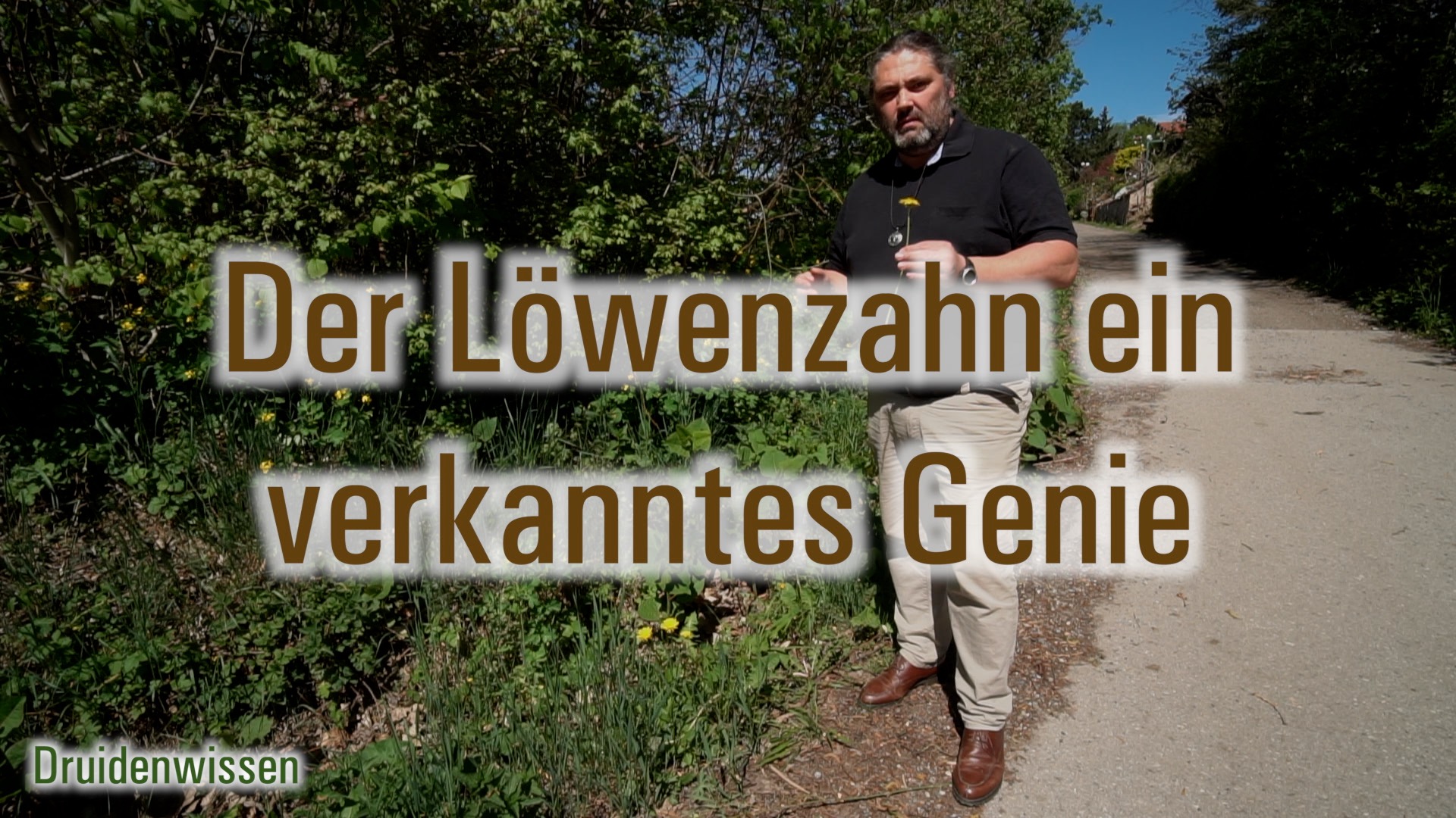 Der Löwenzahn ein verkanntes Genie