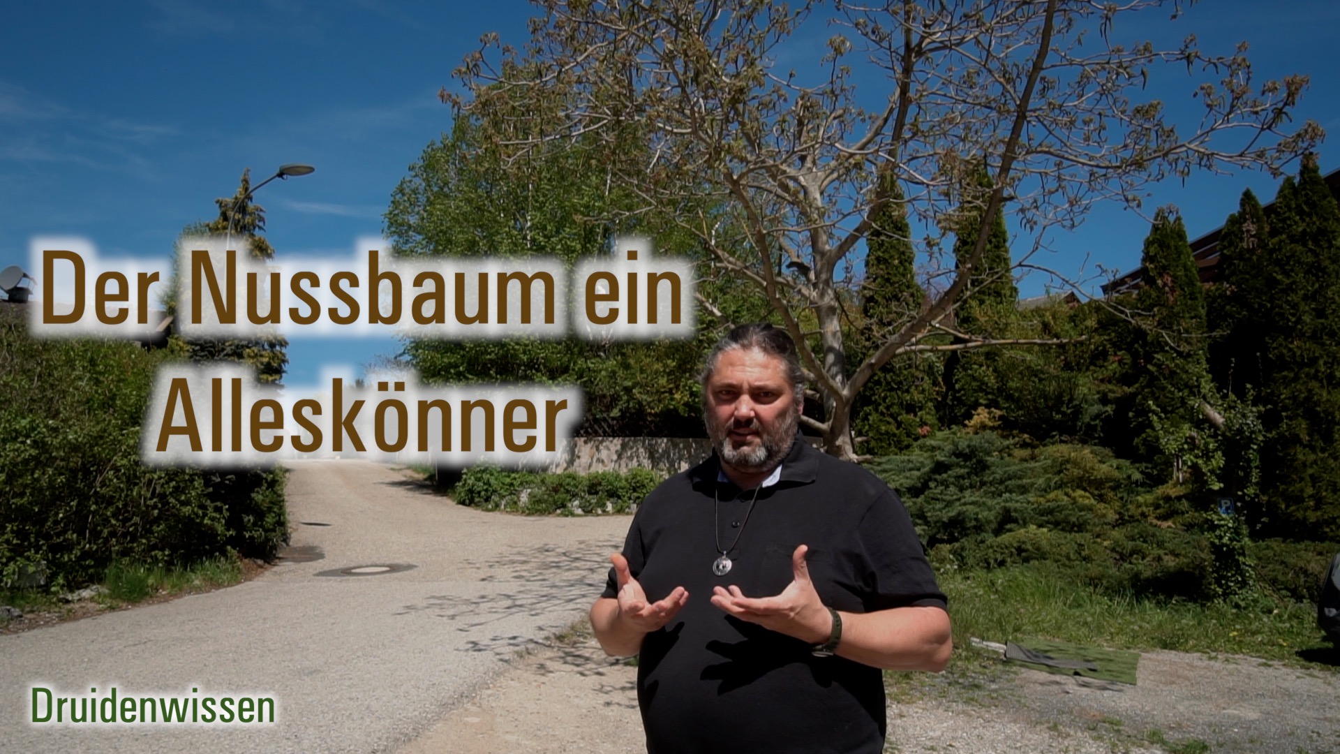 Der Nussbaum ein Alleskönner